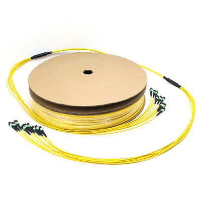 72F MPO Trunk Cable